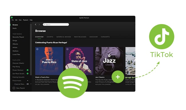 Spotify-Musik bei TikTok nutzen