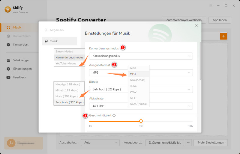 Konvertierungseinstellungen von Spotify-Musik